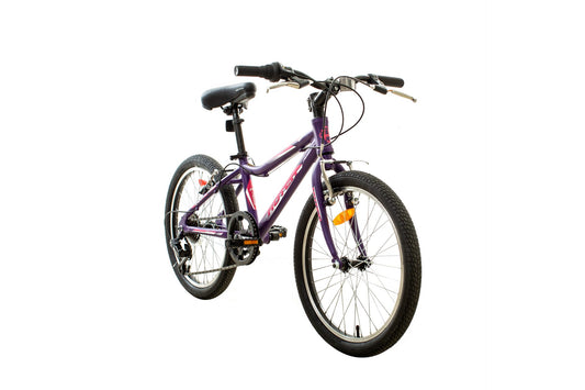 Dawn 20" 7 speed